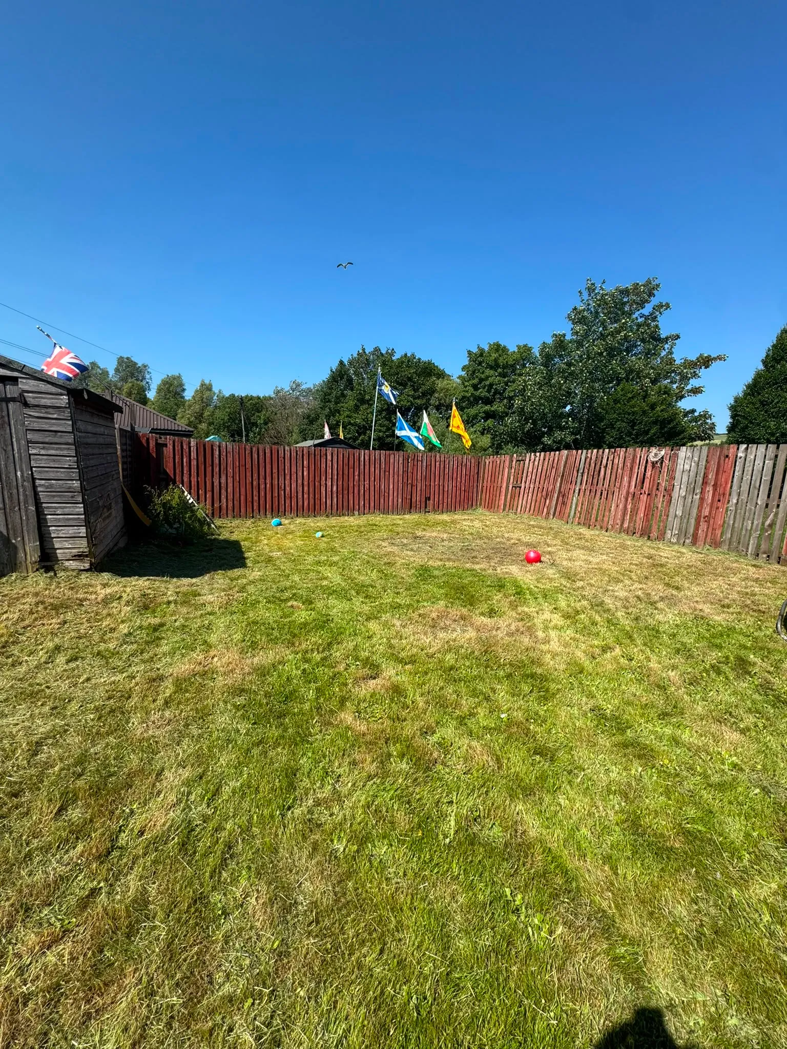 After: From meadow back to family lawn