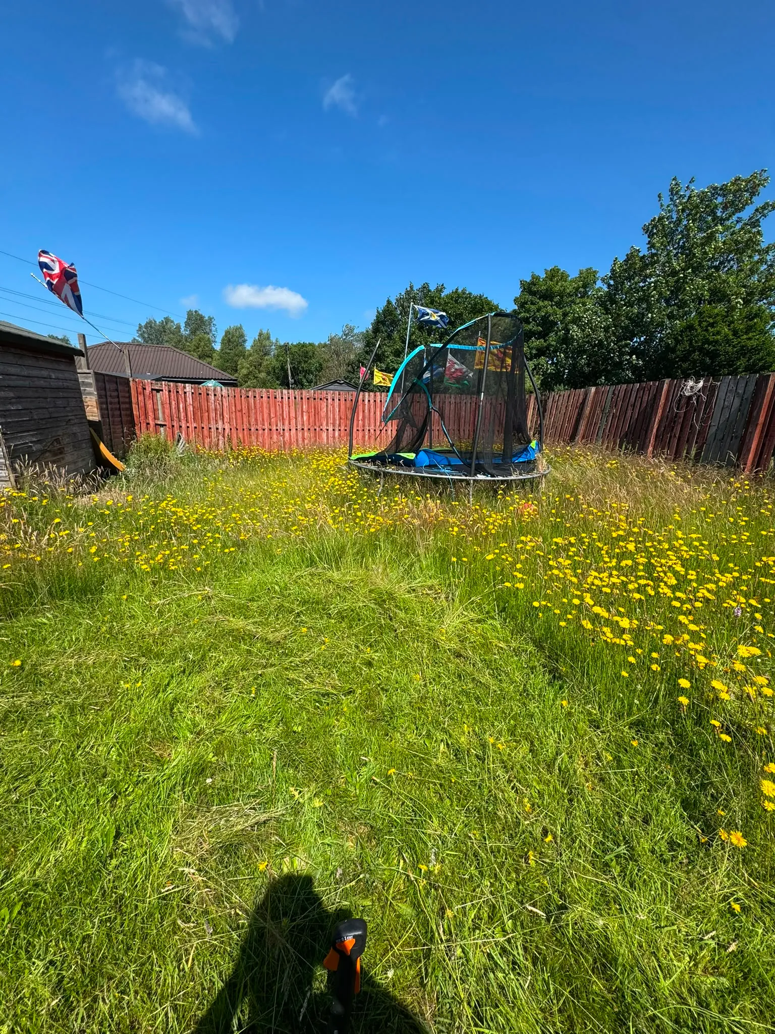Before: From meadow back to family lawn